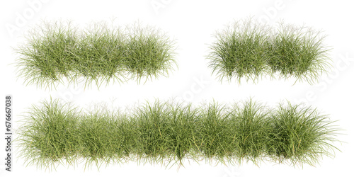 set of grass, 3D rendering with transparent background