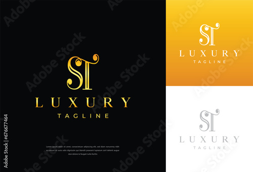 Creative Solid Minimal Letter ST Logo Design In vector Format Creative and Minimalist Letter ST TS