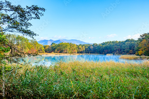 初秋の五色沼群　弁天沼　福島県北塩原村　Goshikinuma in early autumn. Benten Swamp. Fukushima Pref, Kitashiobara Village. photo