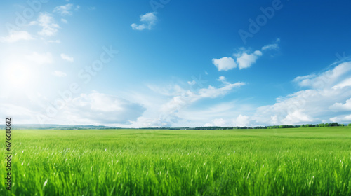 Beautiful panoramic natural landscape of a green