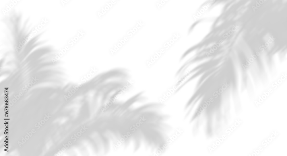 Sunshade grey shadow palm leafs movement on transparent backgrounds 3d render png Sunshade grey shadow palm leafs movement on transparent backgrounds 3d render png