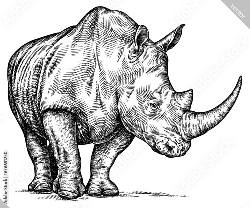 Vintage engraving isolated rhinoceros set illustration ink sketch. Africa background rhino silhouette art. Black and white hand drawn vector image