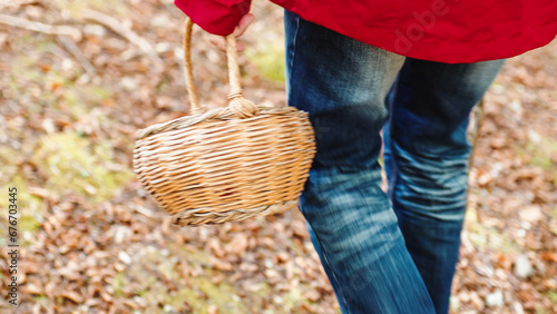 Elderly man walking with basket for picking mushrooms in the mountain photo