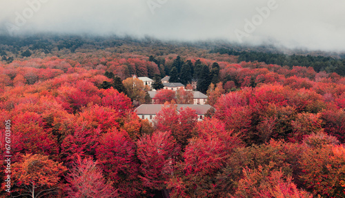 Orange tree of mountains in Autumn season aerial shoot photo