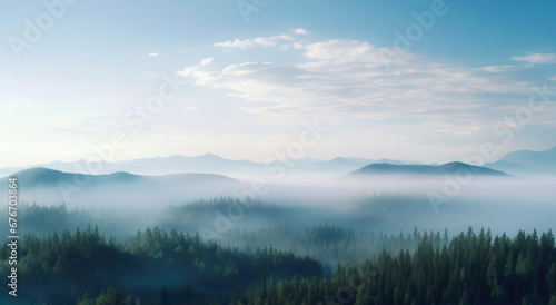 foggy landscape with sky and deep forest environment © vishal