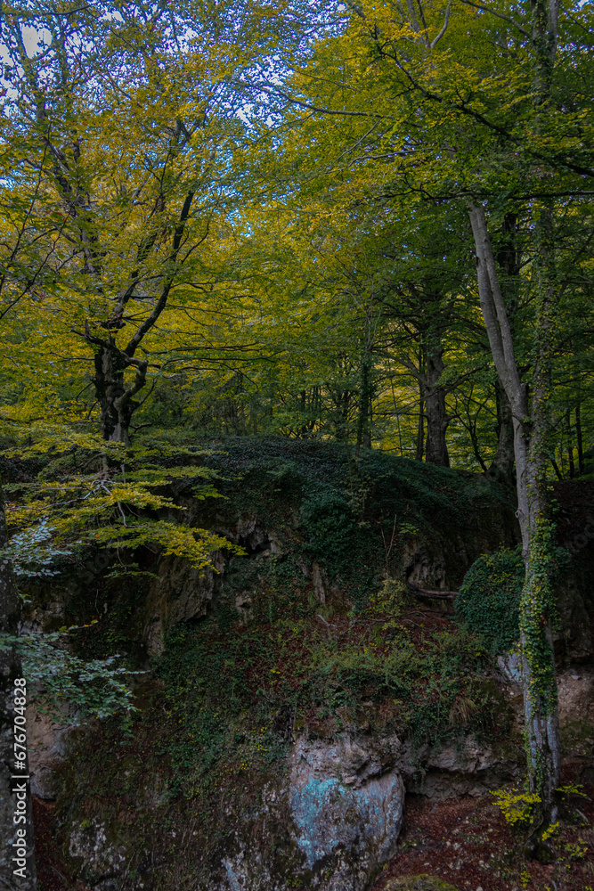 Naklejka premium Route through the Source of Urederra. Navarre. Spain
