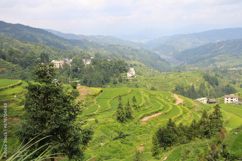 Terraced Field in Tangan, Guizhou, China