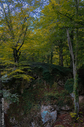 Route through the Source of Urederra. Navarre. Spain