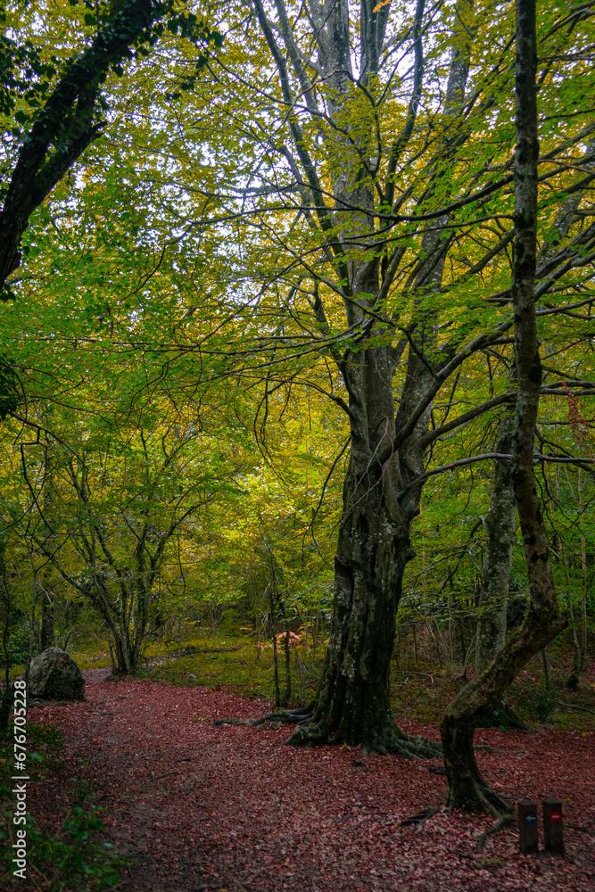 Route through the Source of Urederra. Navarre. Spain Route through the Source of Urederra. Navarre. Spain