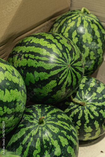 melons in a market