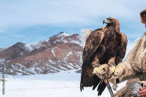 Portrait of a hunting golden eagle on the background winter moun