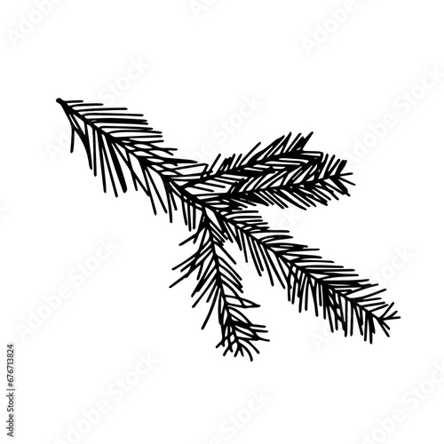 Doodle pine branch tree isolated on white background. element for bouquets. Branches greenery elements of plant on white background. Merry christmas  happy new year.