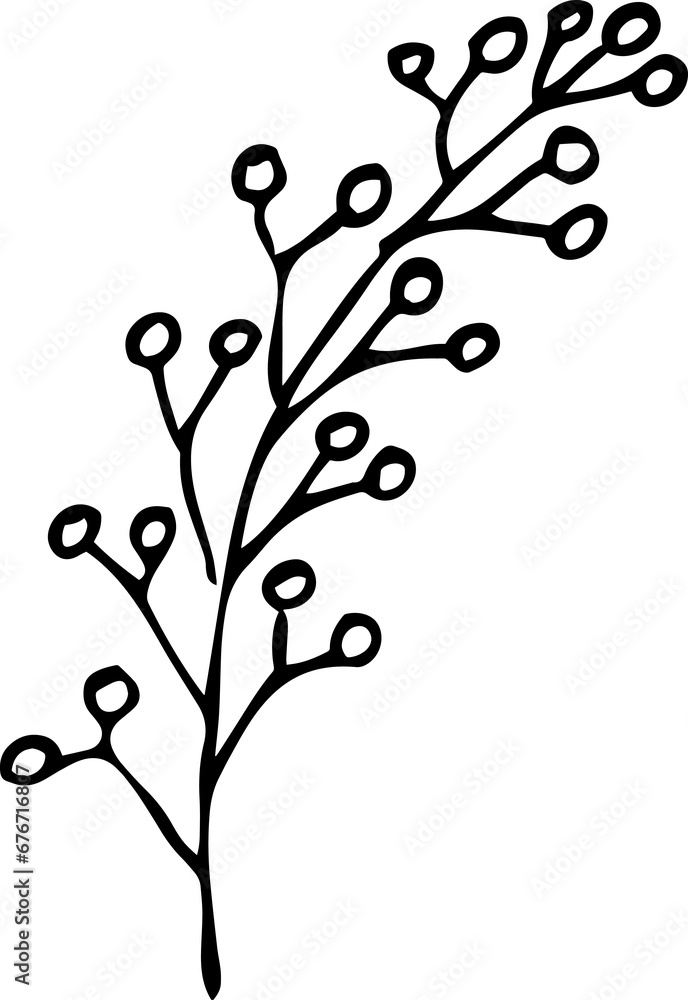 Hand Drawn Botanical Leaf Line Art Hand Drawn Botanical Leaf Line Art