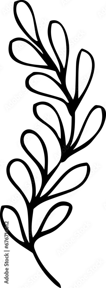 Hand Drawn Botanical Leaf Line Art Hand Drawn Botanical Leaf Line Art
