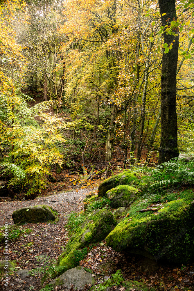 Fototapeta premium Beautiful Autumn landscape image of woodland and golden leaves and river running through deep valley below in Peak District National Park