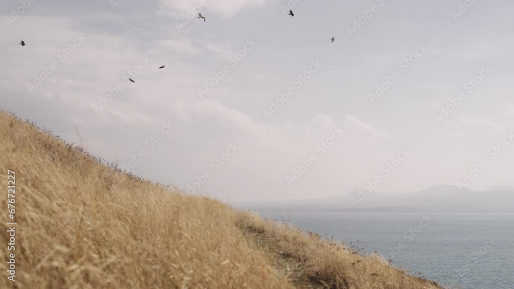 Slow motion of bird flying over lake am mountains in autumn