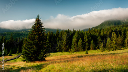 Fototapeta Naklejka Na Ścianę i Meble -  Summer trip to Śnieżka in the Karkonosze Mountains