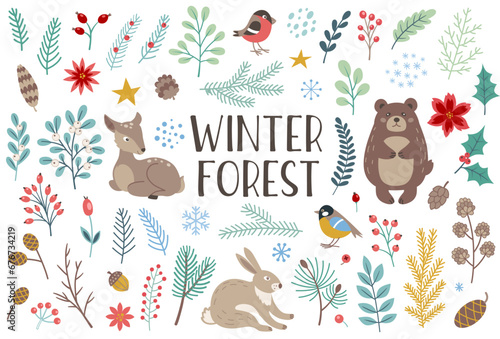 Winter forest floral and animals design elements