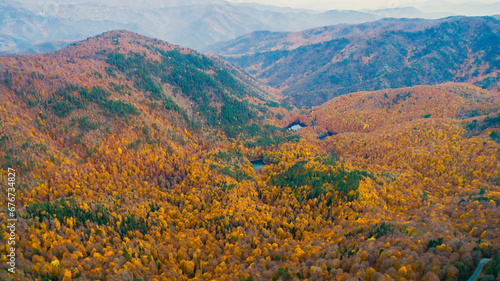 Photo of forest landscape painted in autumn colors. Aerial view. Autumn season. © thehakanarslan