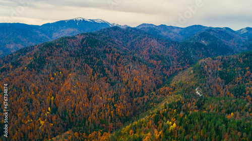 Beautiful autumn trees. View from above of autumn deciduous forest in yellow and orange colors.Forest with colorful leaves on a calm autumn day.