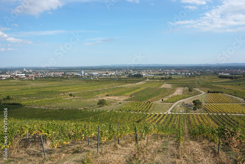 Wallpaper Mural  View from the vineyards to Guntramsdorf Torontodigital.ca