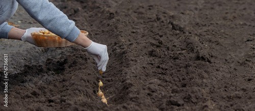 A woman plants onions on a farm. Selective focus.