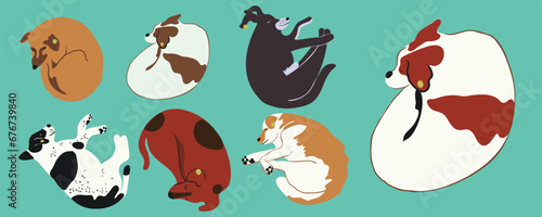 set of dogs in vector. Pets,cute animals, animal protection.Template for postcard sticker logo poster for app website. A series of furry dogs in flat style