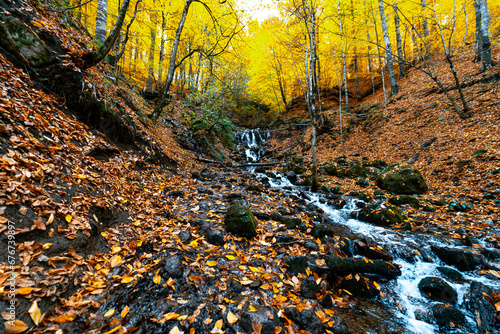 Fototapeta Naklejka Na Ścianę i Meble -  The flow of water filtering through the stones. Water flow in the forest in autumn season.
