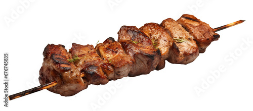 Delicious grilled kebab on a skewer, cut out