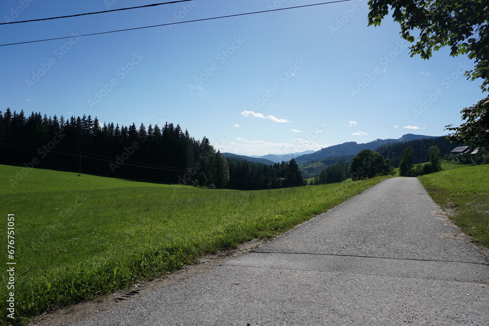 Panorama view with street in Styria