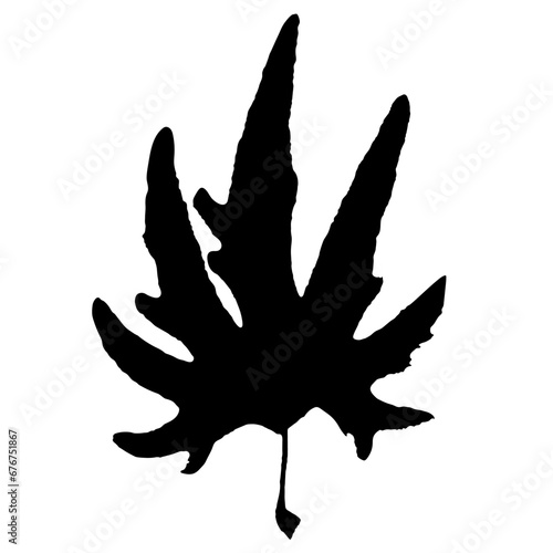 Sycamore or plane tree leaf vector silhouette