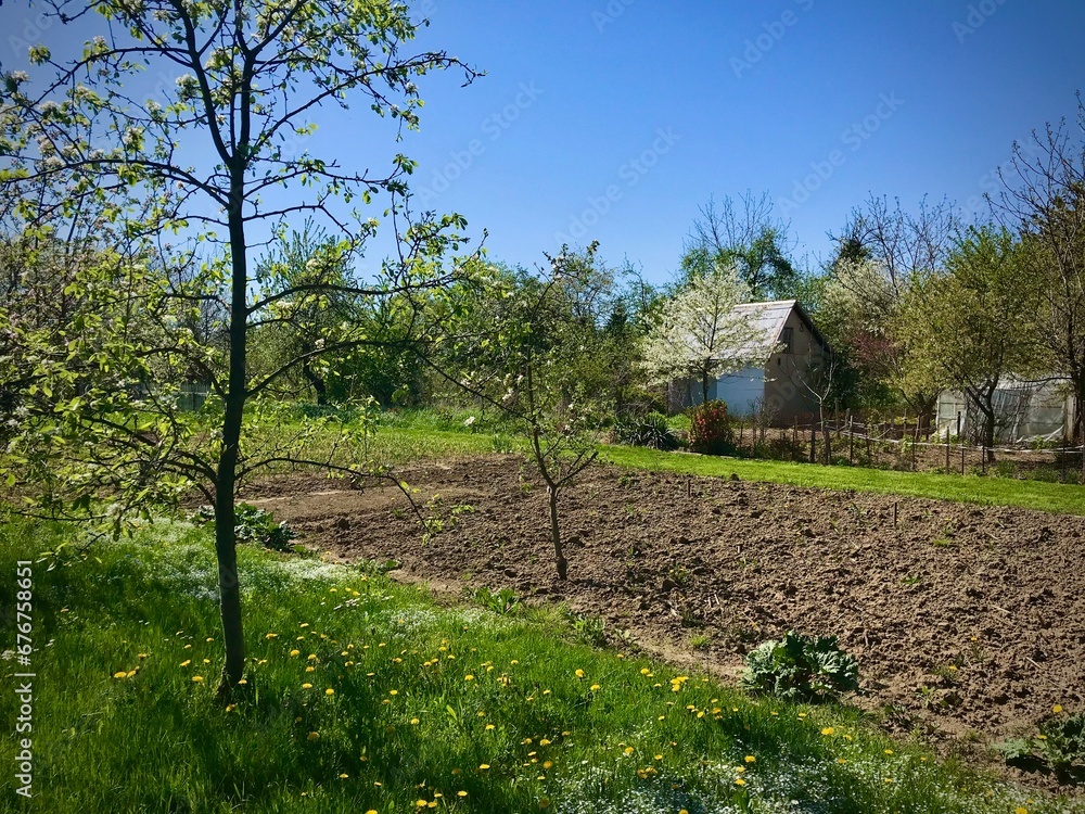A garden plot with.