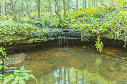 a small stream or a small waterfall in the middle of a forest or a forest river