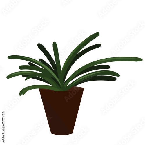 Houseplant in a brown pot for home, office.Hand drawn  illustration