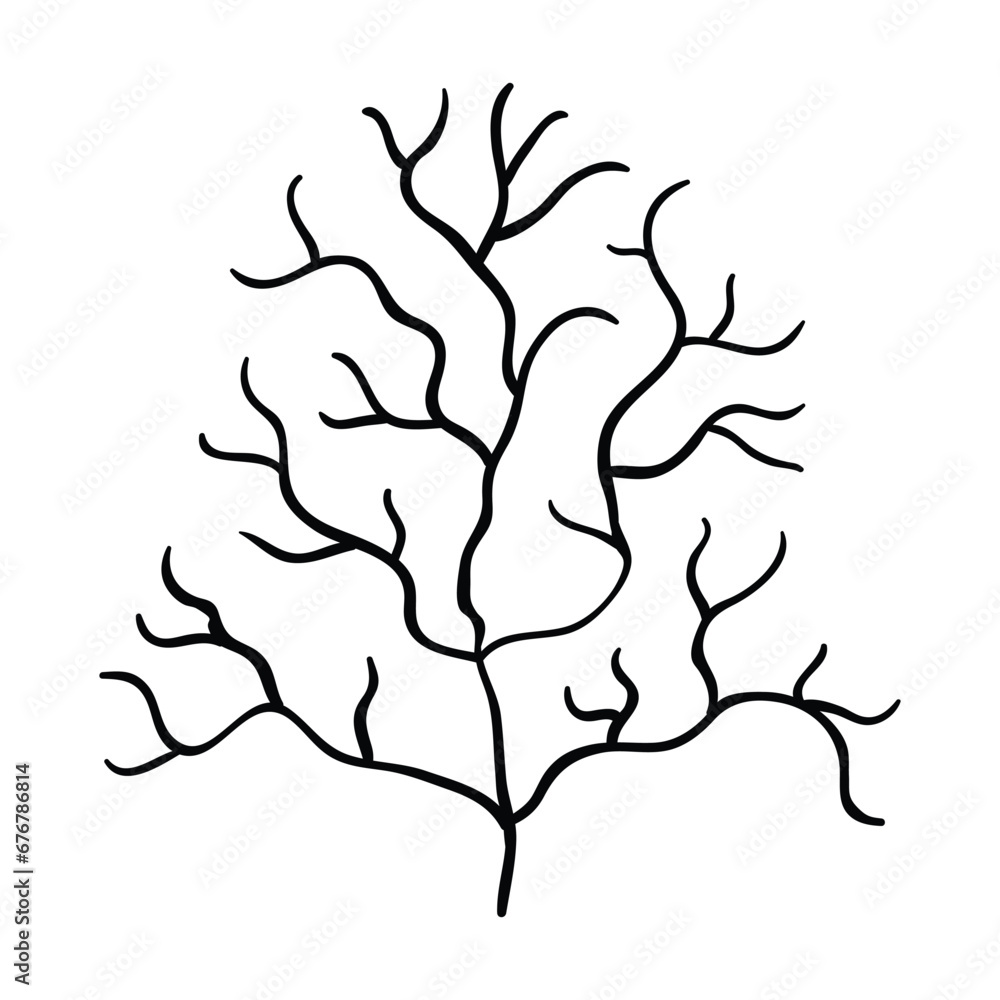 Hand drawing style of algae vector. It is suitable for algae icon, sign or symbol. Hand drawing style of algae vector. It is suitable for algae icon, sign or symbol.