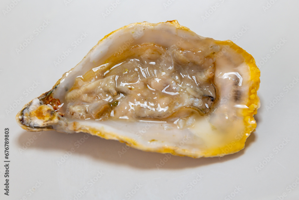 Fresh raw oyster isolated on white background Fresh raw oyster isolated on white background