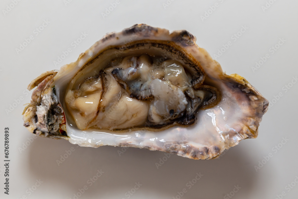 Fresh raw oyster isolated on white background Fresh raw oyster isolated on white background