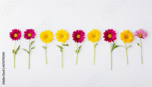 A row of flowers sitting on top of a white surface