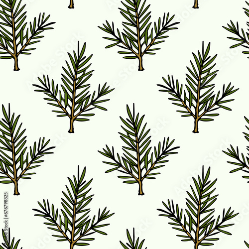 Vector seamless pattern with hand drawn fir-tree branches. Beautiful design elements, ink drawing. Perfect for prints and patterns for Christmas or New Year holidays season.