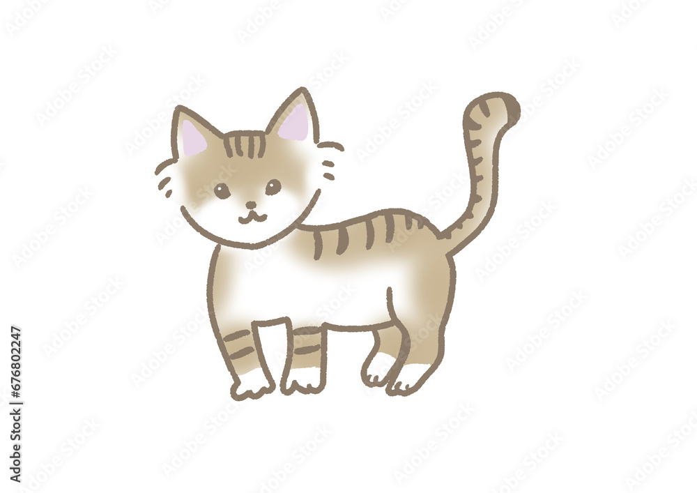 スナネコのかわいいイラスト スナネコのかわいいイラスト