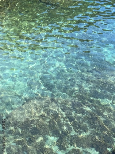 Clear sea water with algae at the bottom.