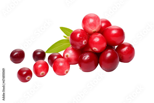 cranberry on a white transparent background