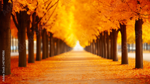 Autumnal avenue with golden trees and leaf-covered path.