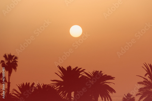 Hazy golden hour sunrise over the ocean with palm tree silhouette. Fuerteventura, Canary Islands, Spain. 
