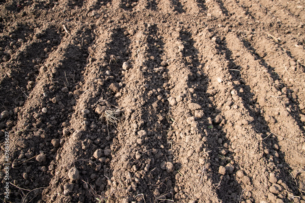 plowed soil in a field during preparation for onion seed sowing in Bangladesh plowed soil in a field during preparation for onion seed sowing in Bangladesh