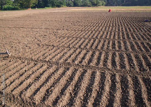 plowed soil  in a field during preparation for onion seed sowing in Bangladesh