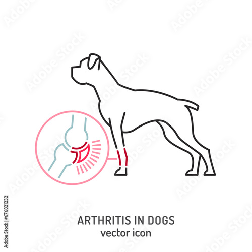 Arthritis, osteoarthritis in dogs. Common disease. Veterinarian infographics.