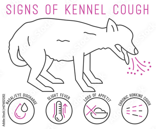 Possible signs of kennel cough. Canine infectious tracheobronchitis.
