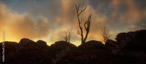 Arid landscape with rocks and dead trees under a cloudy sky at sunset. photo