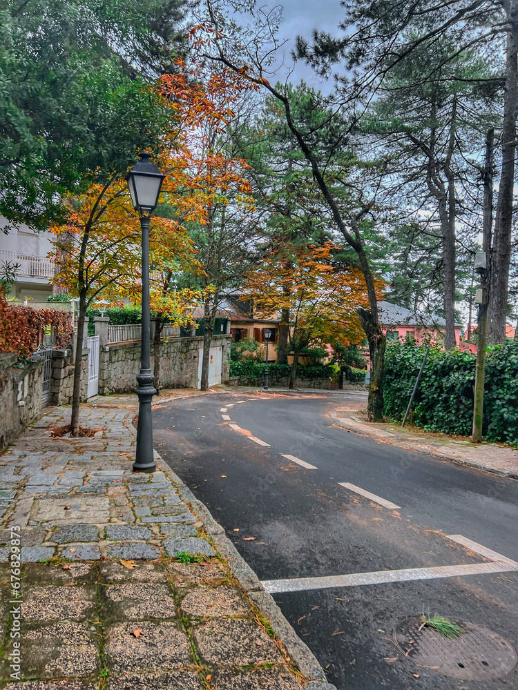 Naklejka premium autumn in the park